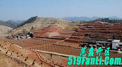 1.76怀旧特戒逍遥复古